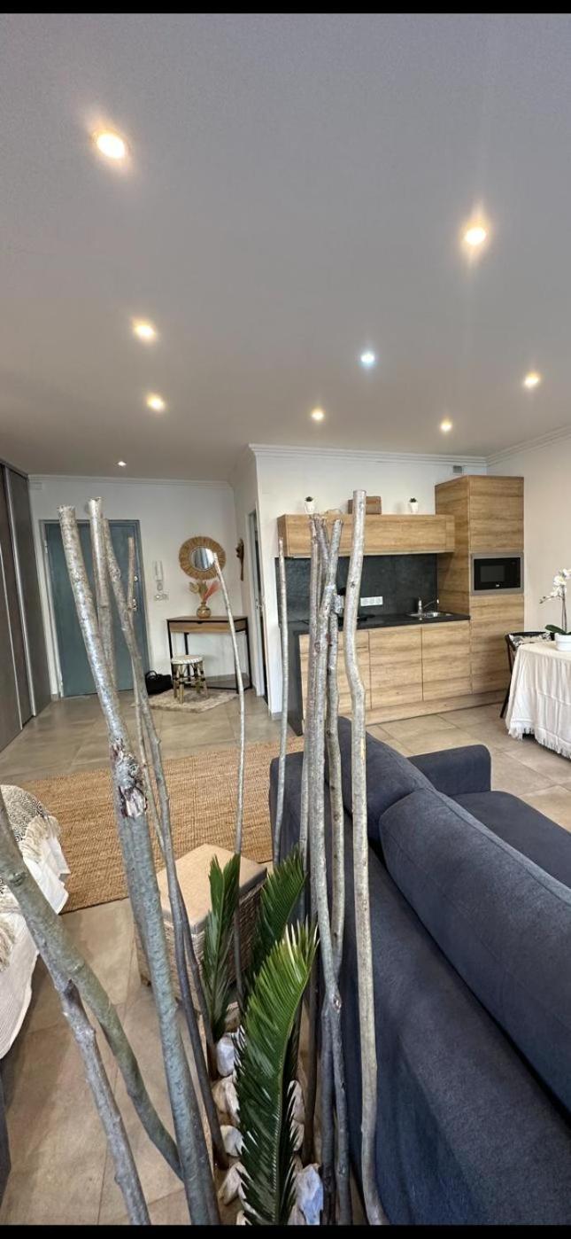 Grand Studio Cosy Cannes Centre Zewnętrze zdjęcie